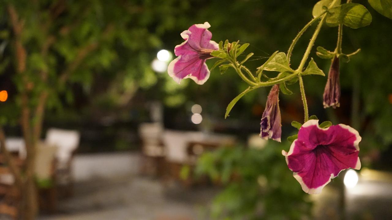 Hotel Morfeas 플라타모나스 외부 사진