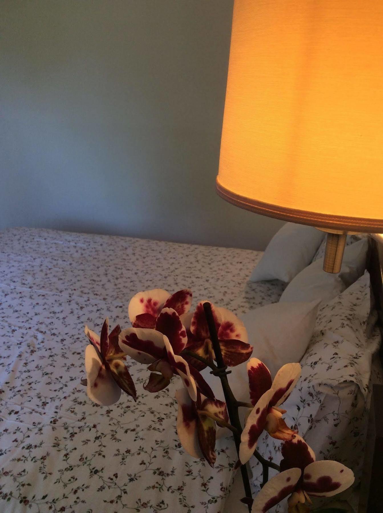 Hotel Morfeas 플라타모나스 외부 사진